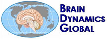 Brain Dynamics 